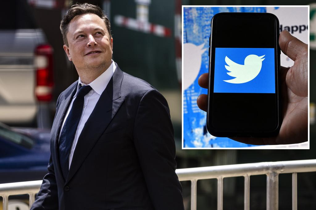 Elon Musk flips a Twitter birdie, files countersuit in legal battle

