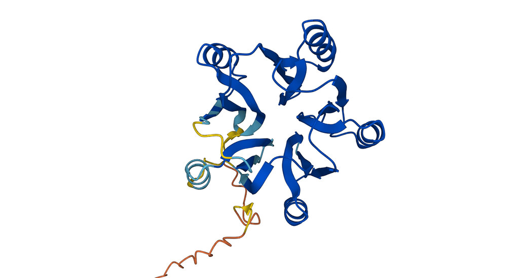 AI predicts the shape of nearly every protein known to science

